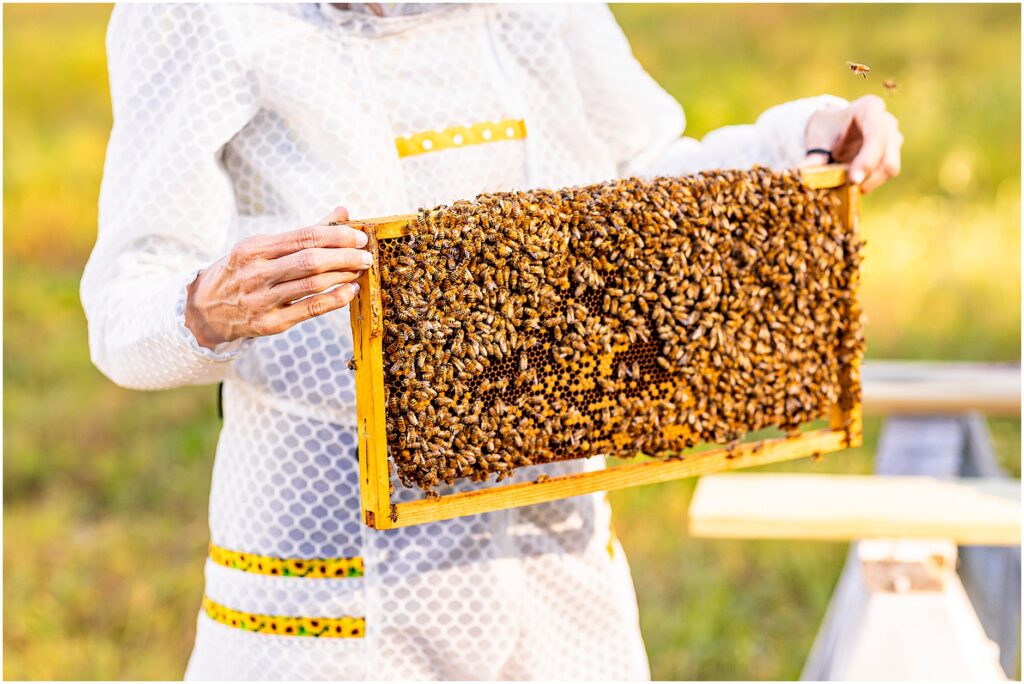 Natural light brand photography for a sustainable beekeeping company, Jeometry Beewear™