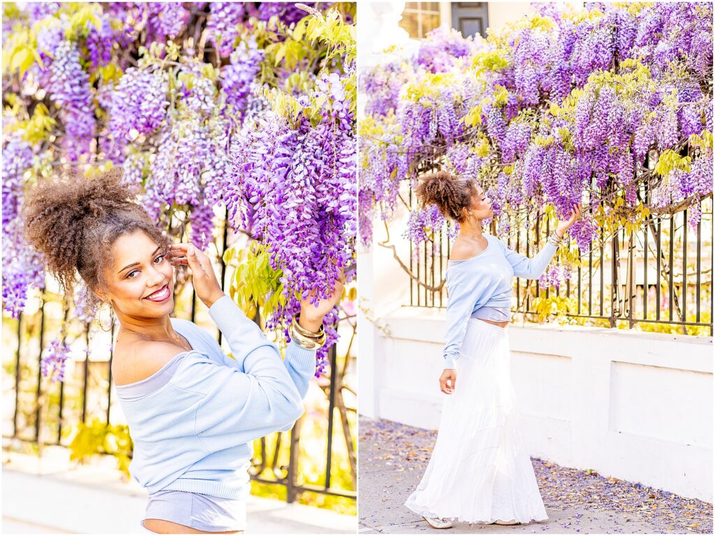 Senior portraits in Charleston SC with cascading wisteria and golden morning light